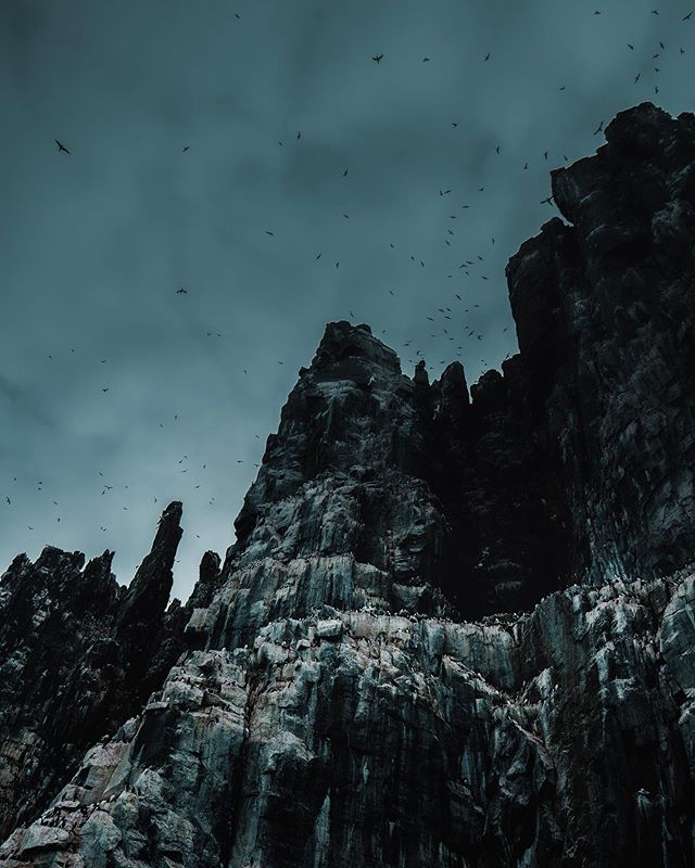 Looking up to tens of thousands of Br&uuml;nnich&rsquo;s guillemots taking refuge on the jagged cliffs of Alkefjellet in Svalbard. 
@visitsvalbard