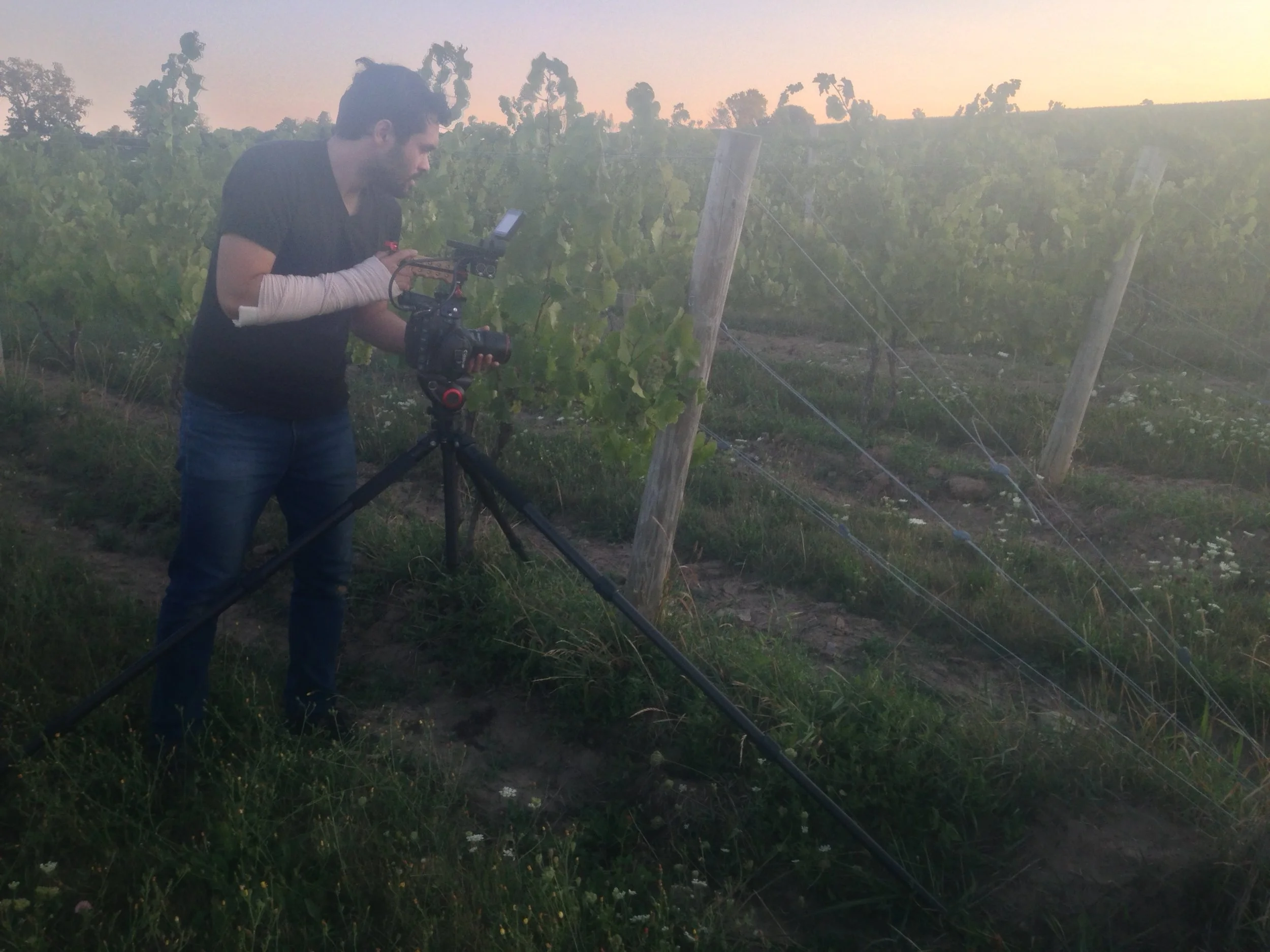 Shooting sunset vineyard footage.