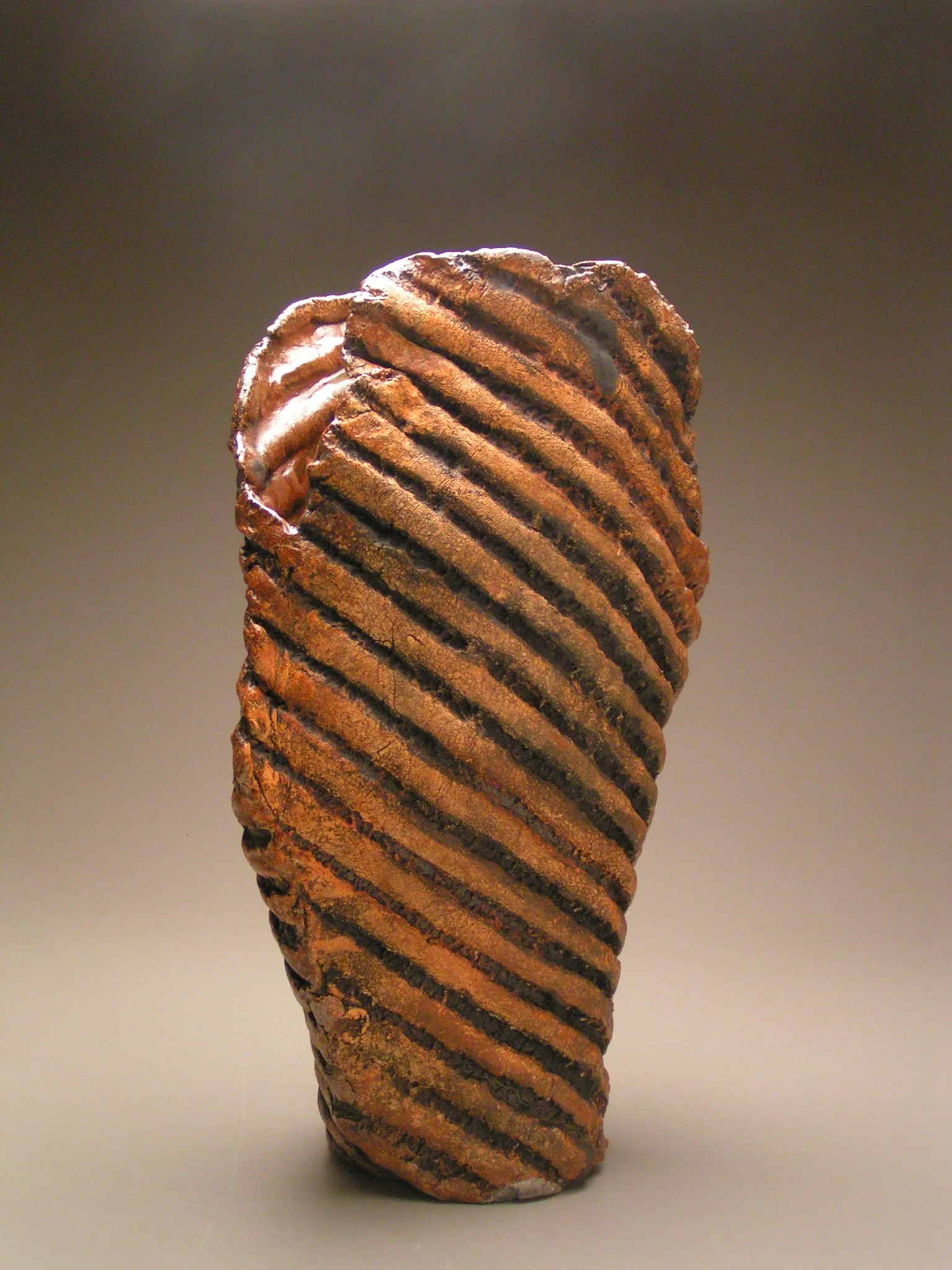 Zebra3.JPG