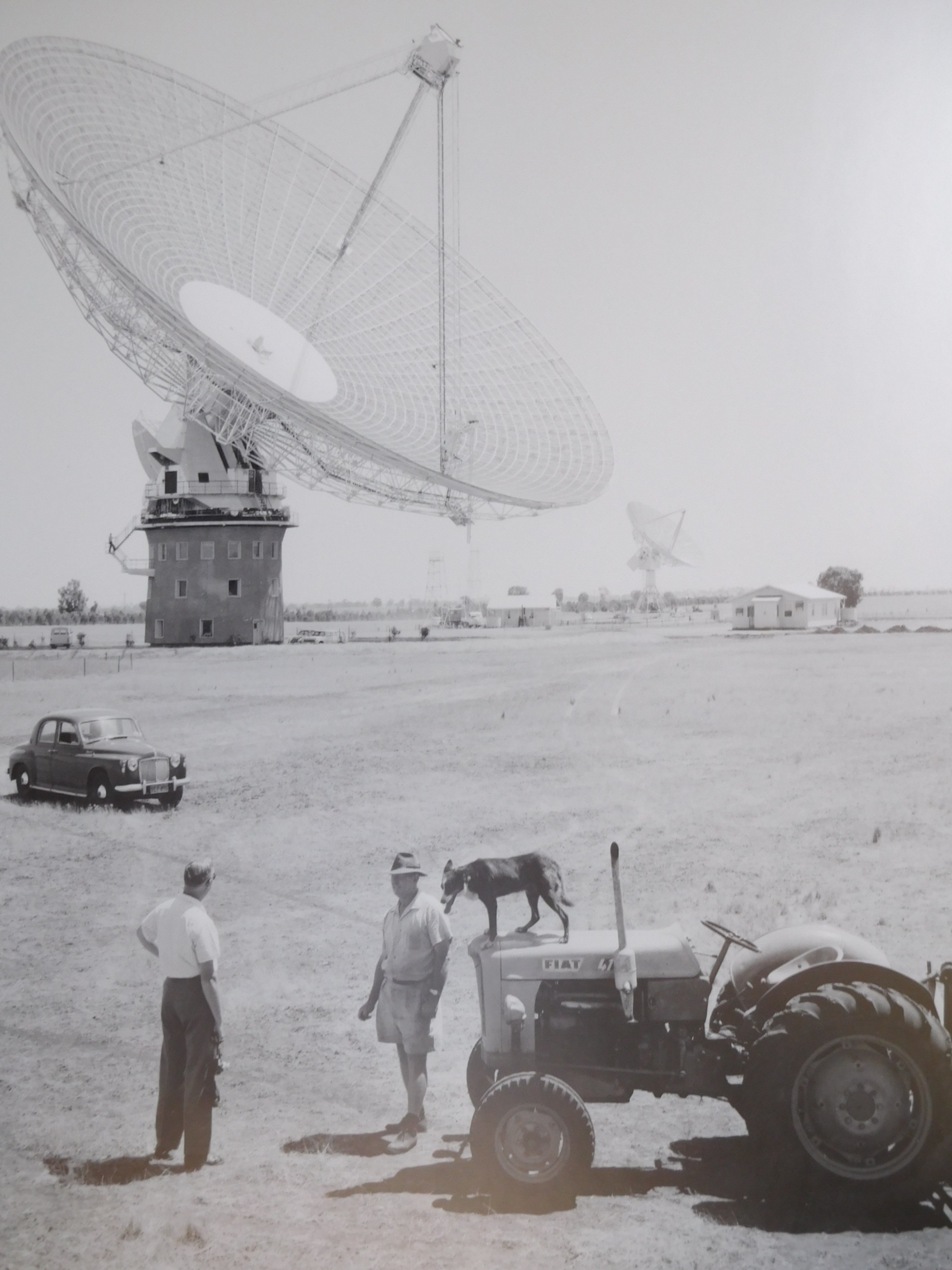 I love this photo, especially the old car in the foreground and the kelpie sitting up on the tractor.