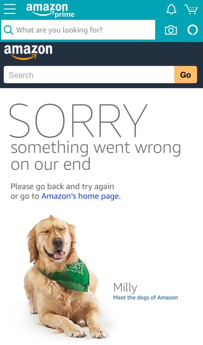 Milly says Sorry-something-went-wrong-on-amazon-prime-day-fail-joanne-klee-marketing-2018