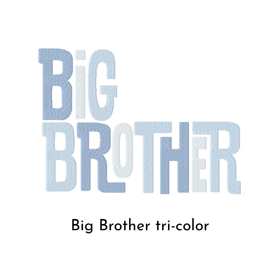 Big Brother tri-color.jpg