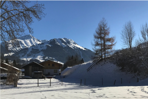 Ausblick Ost Winter.png