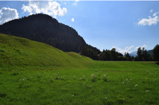 Ausblick Süd-West Sommer.png