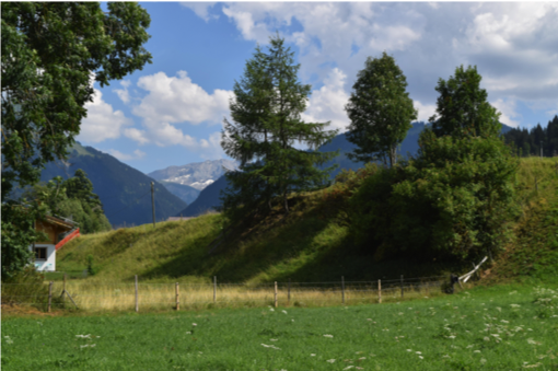 Ausblick Ost Sommer.png