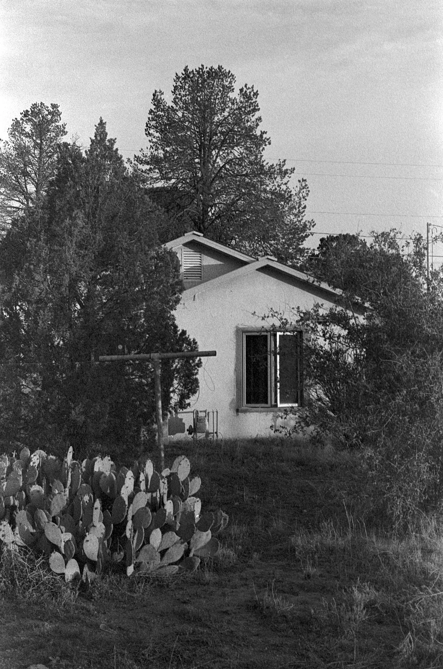 Image 15 copy.jpg