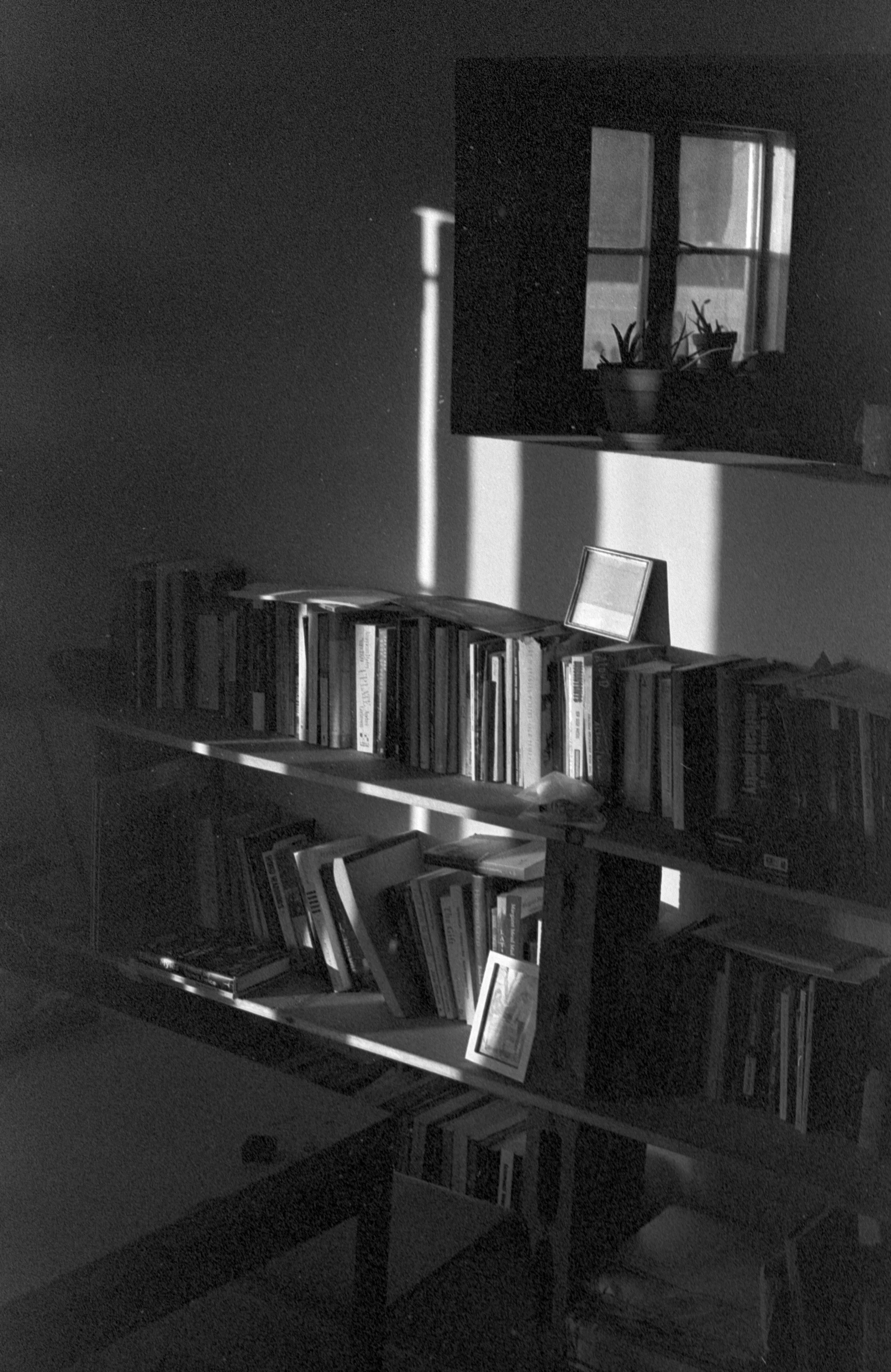 Image 21 edit(2).jpg