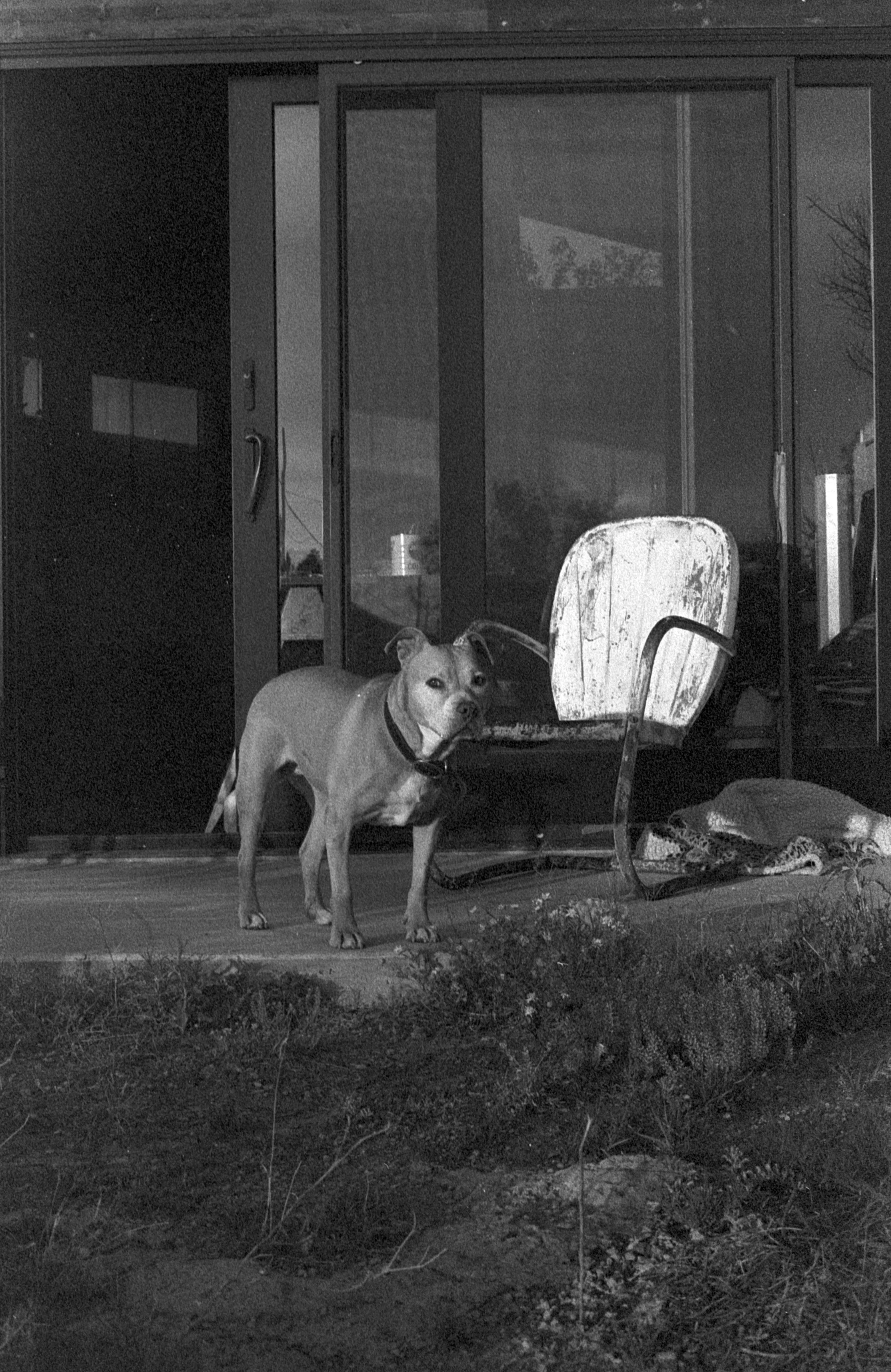 Image 25honey.jpg