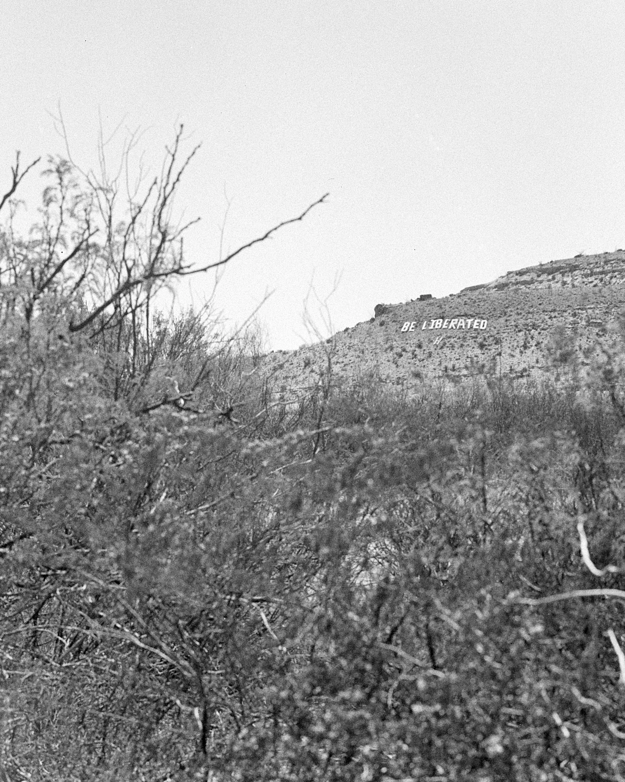 be liberated_crop copy.jpg