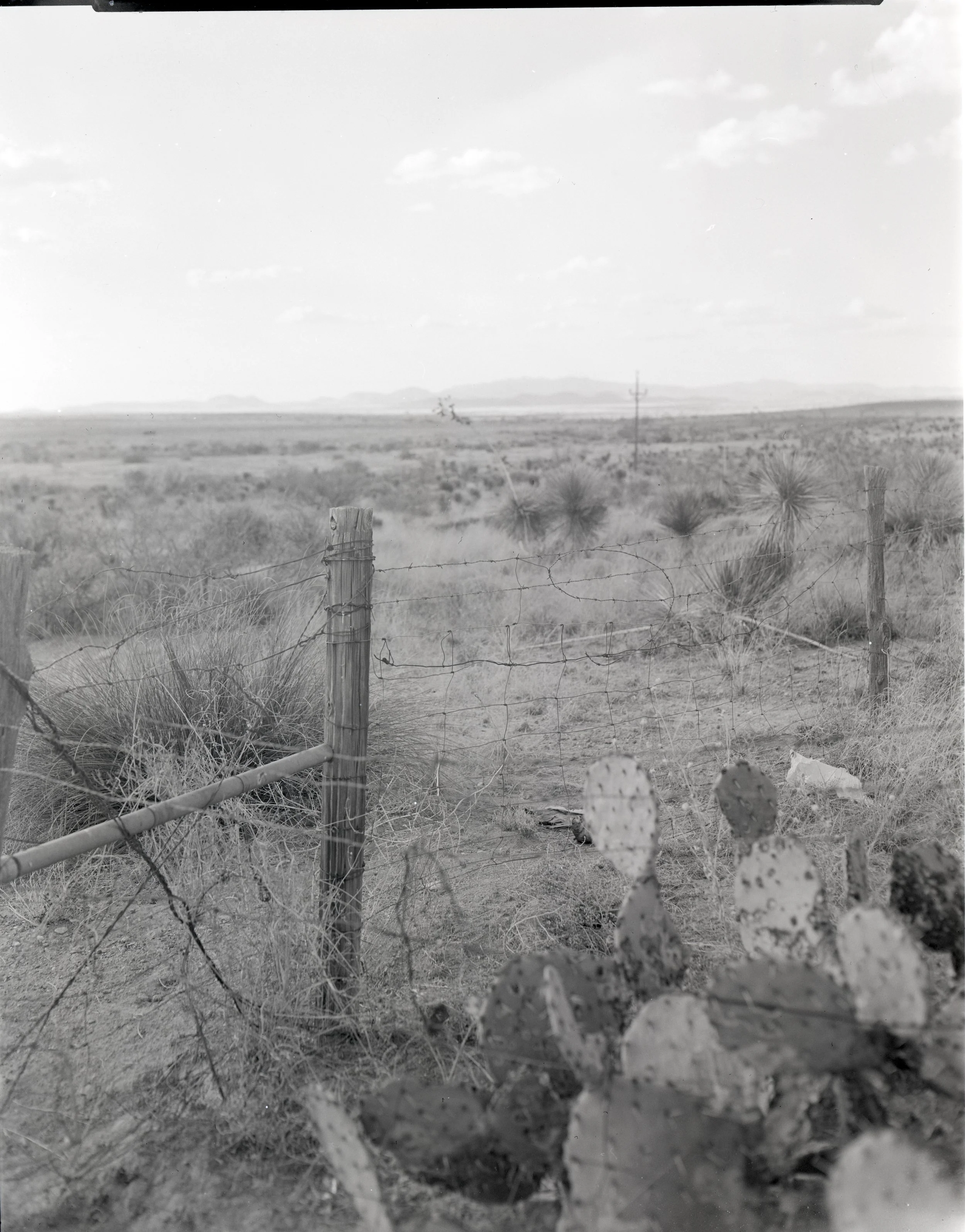 salsi_landscape.jpg