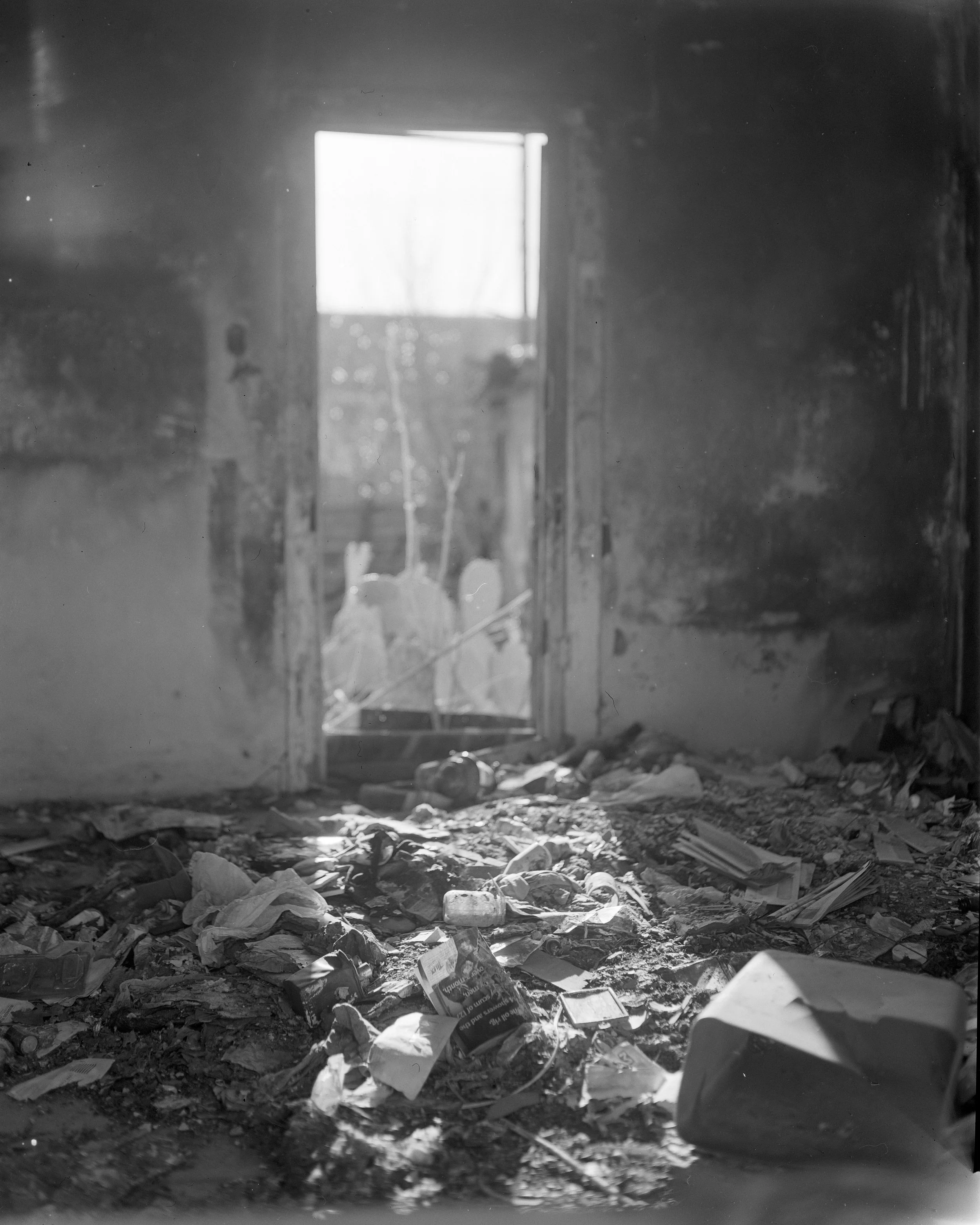 snakehouse2.jpg