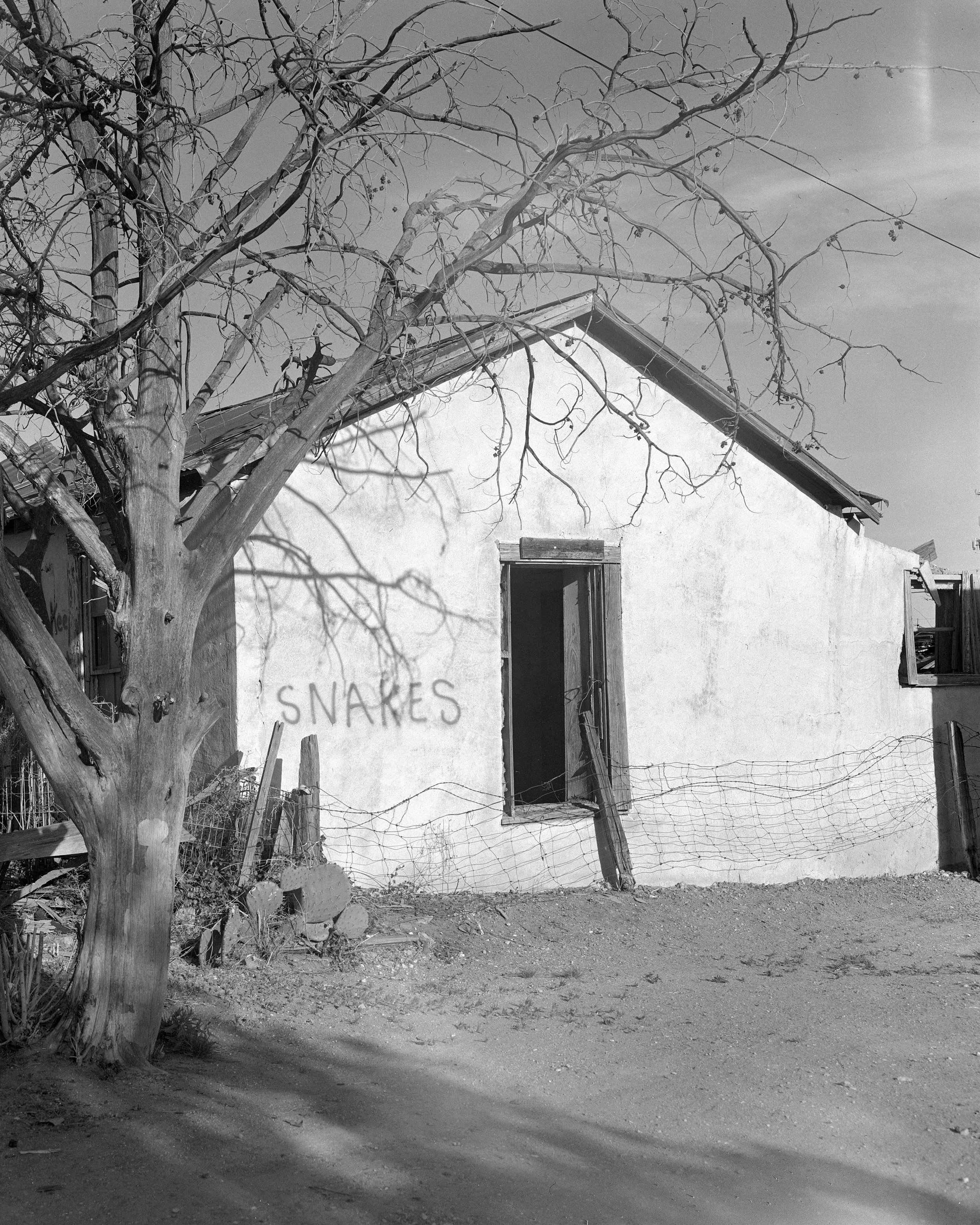 snakehouse3.jpg