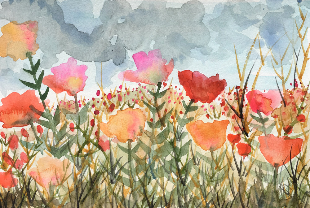 Poppies by Liana Allday