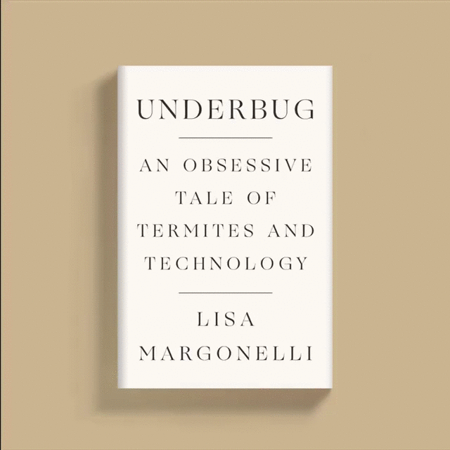 margonelli-underbug.gif