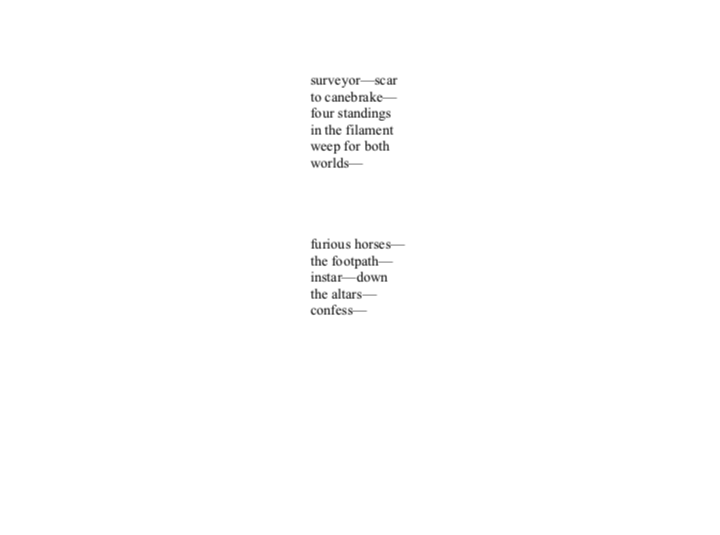 Screen Shot 2019-01-05 at 12.01.54 PM.png