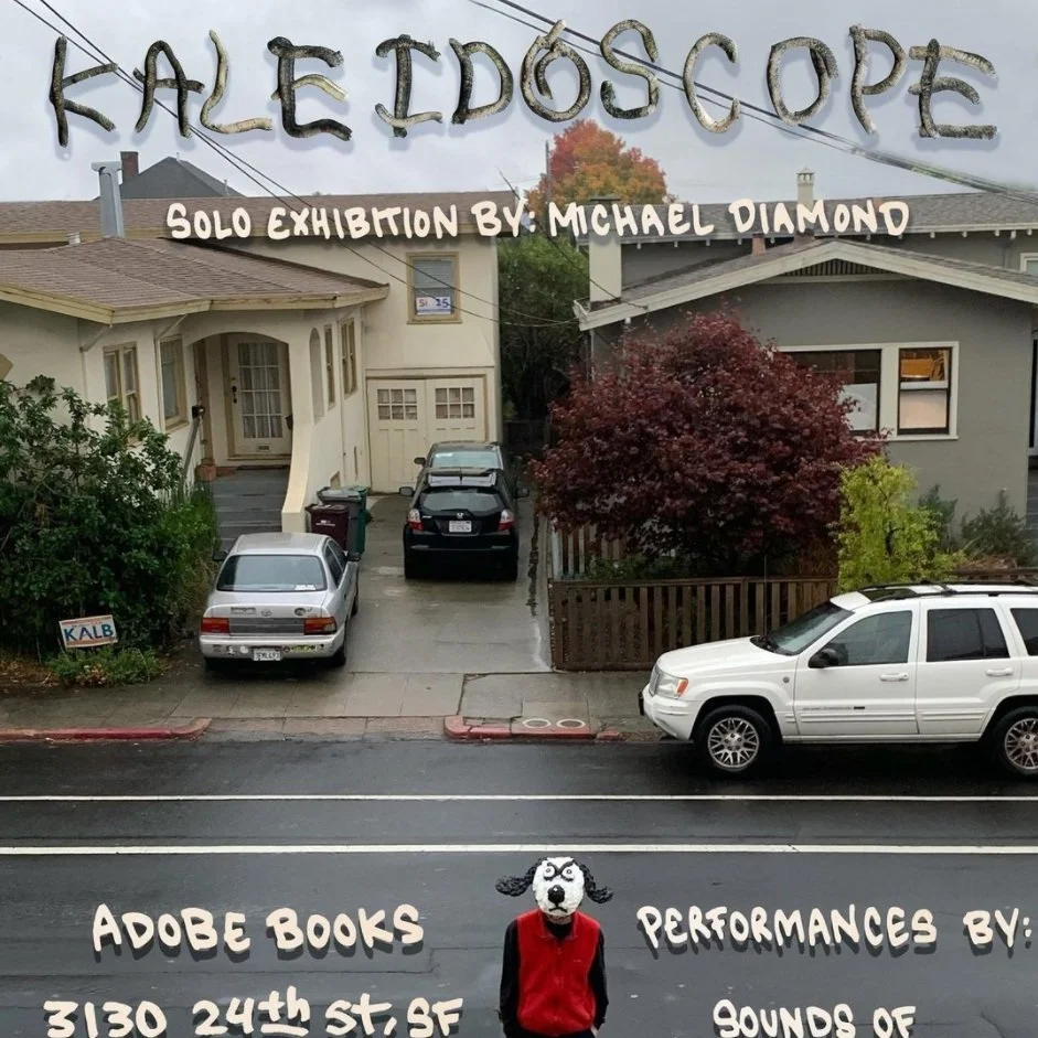 MICHAEL DIAMOND / KALEIDOSOPE