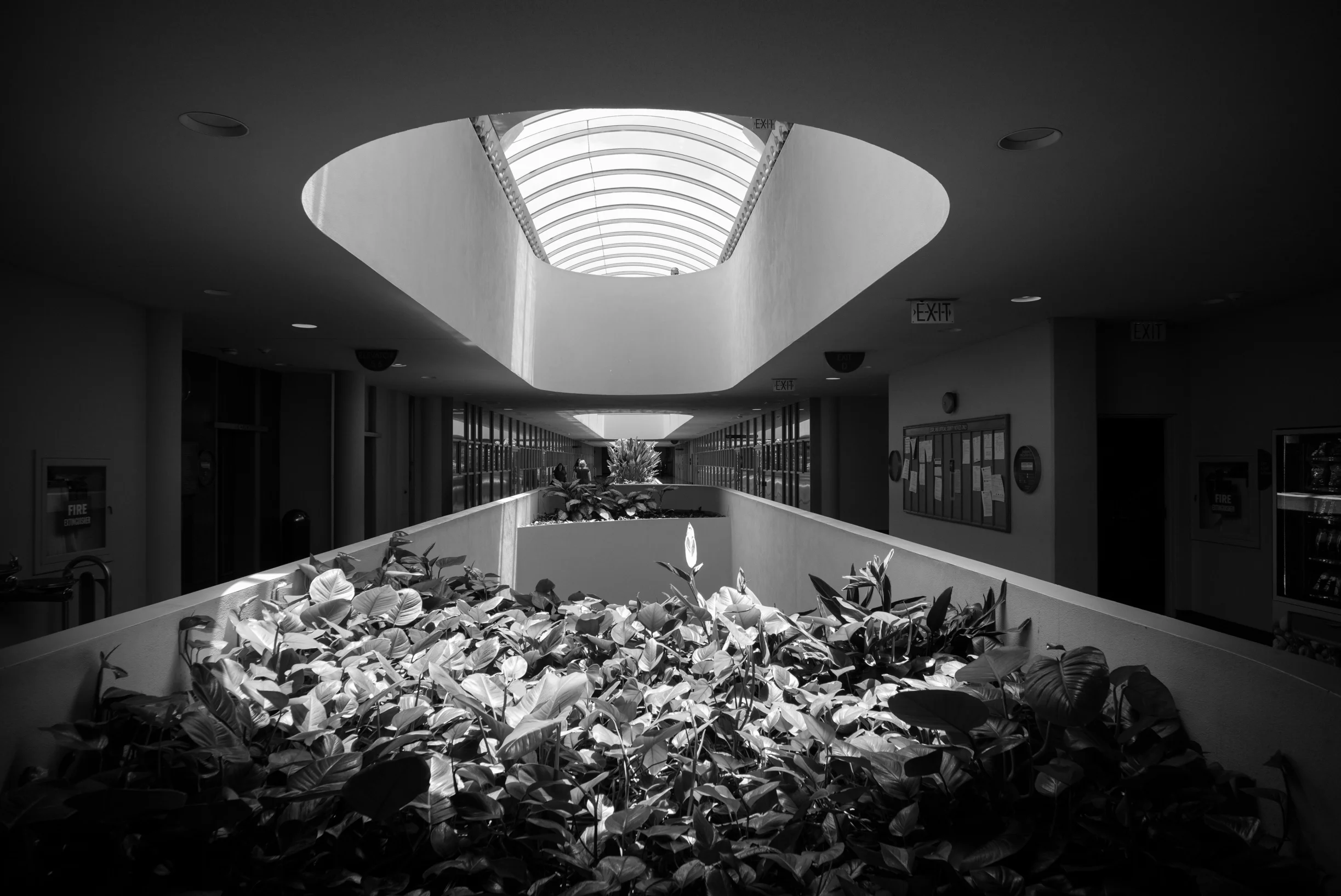 L1004613.jpg