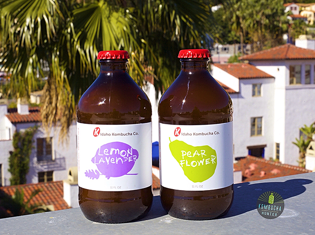 All photos property of Kombucha Hunter. Please request permission for use.