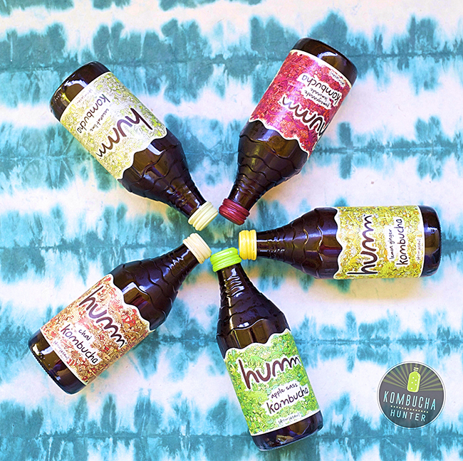 All photos property of Kombucha Hunter. Please request permission for use.