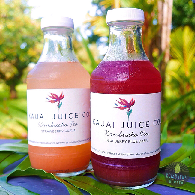 All photos property of Kombucha Hunter. Please request permission for use.