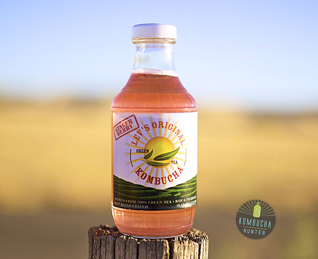 All photos property of Kombucha Hunter. Please request permission for use.