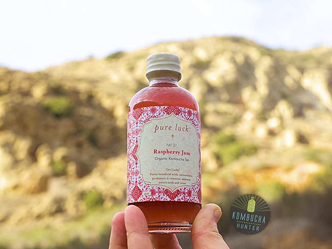 All photos property of Kombucha Hunter. Please request permission for use.