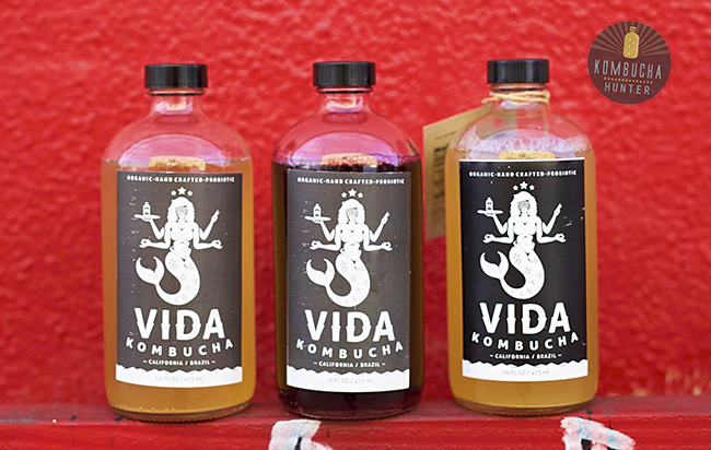 All photos property of Kombucha Hunter. Please request permission for use.
