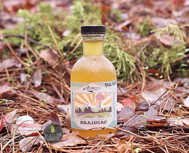 All photos property of Kombucha Hunter. Please request permission for use.