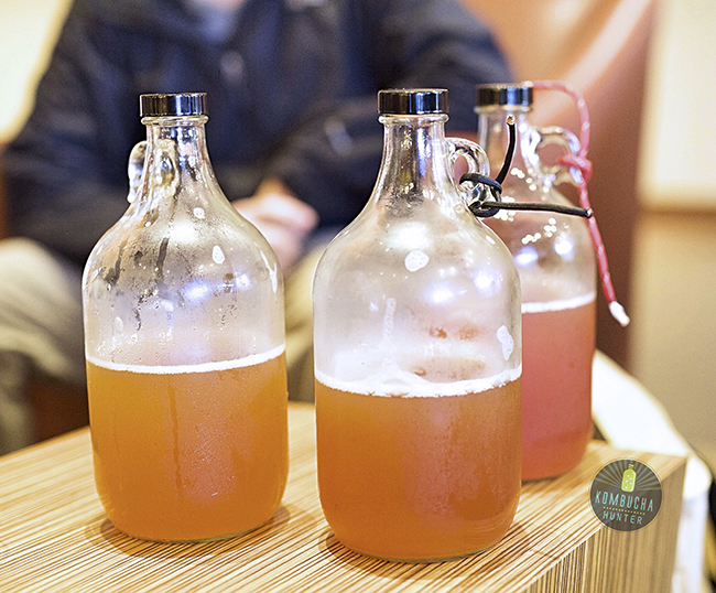 All photos property of Kombucha Hunter. Please request permission for use.