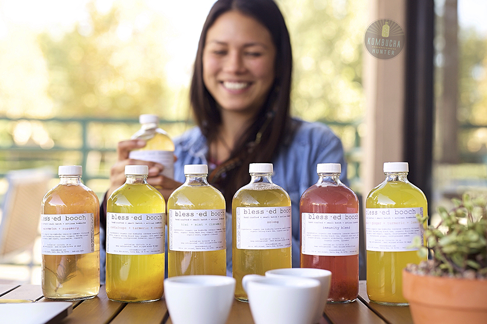All photos ©Kombucha Hunter. Please request permission for use.