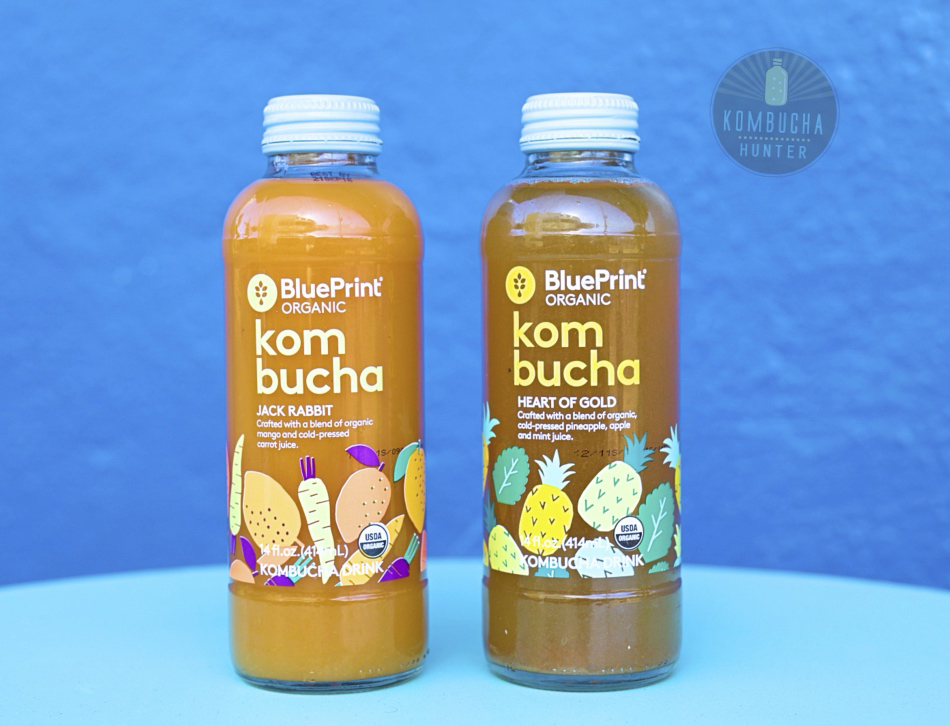 All photos property of Kombucha Hunter. Please request permission for use.