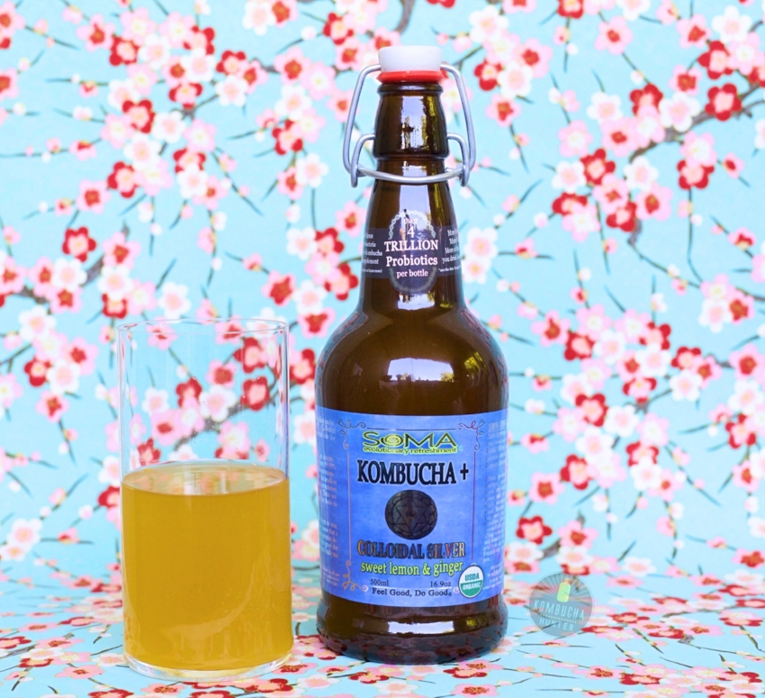 All photos property of Kombucha Hunter. Please request permission for use.