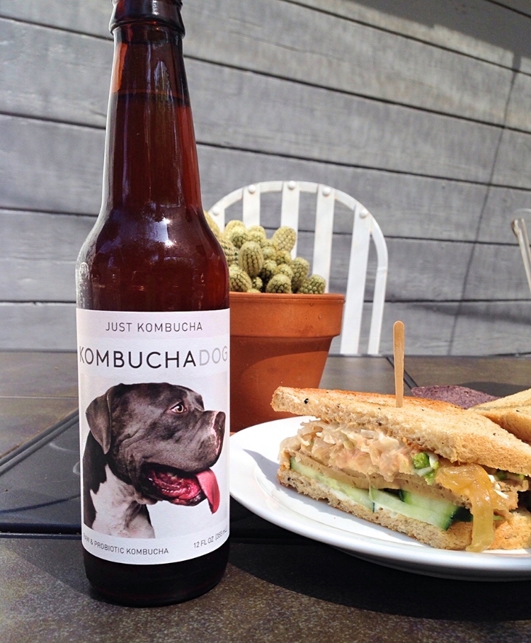 All photos property of Kombucha Hunter. Please request permission for use.