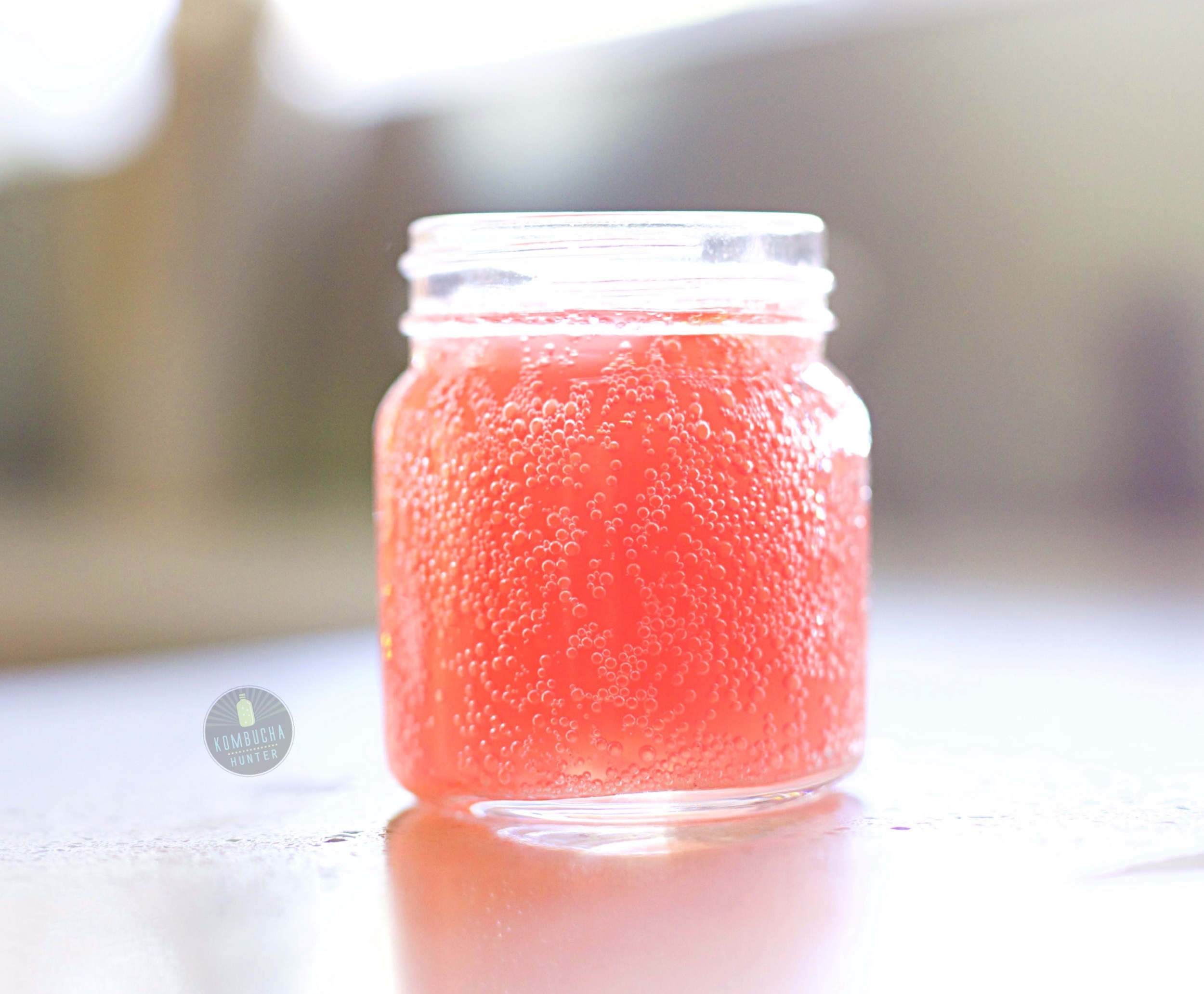 All images property of Kombucha Hunter. Please request permission for use.