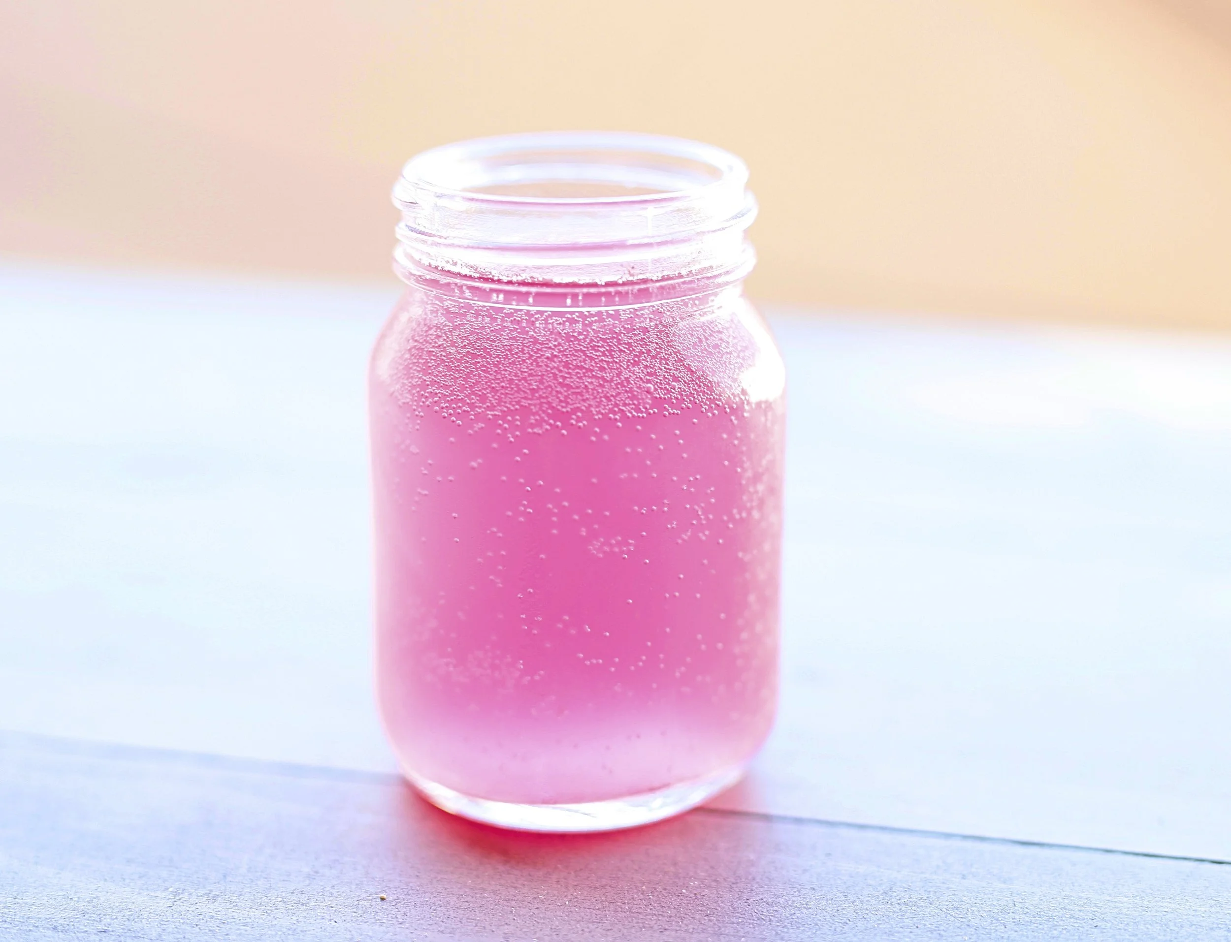 Kombucha Brewing Workshop
