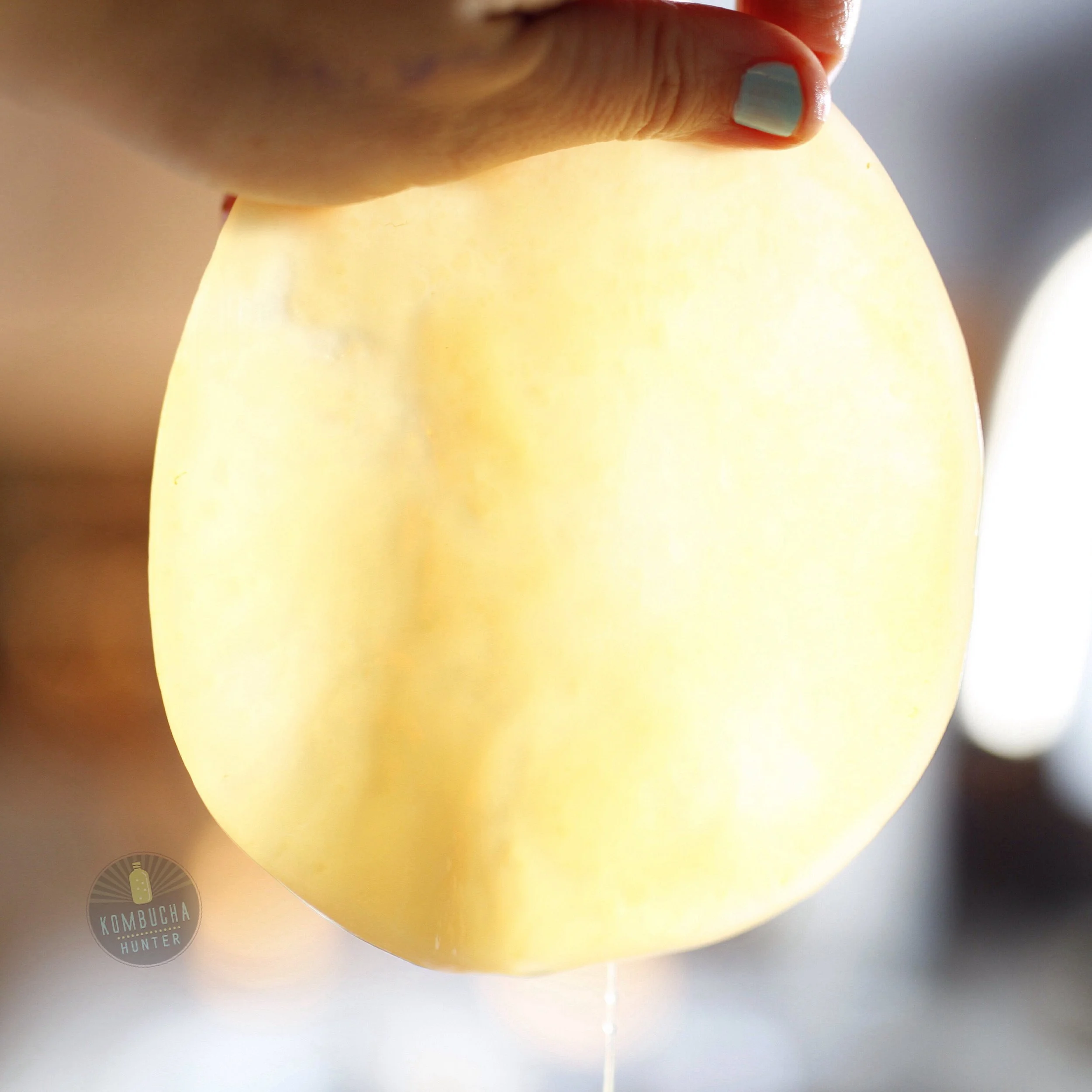 Skype Kombucha Lesson (Copy)