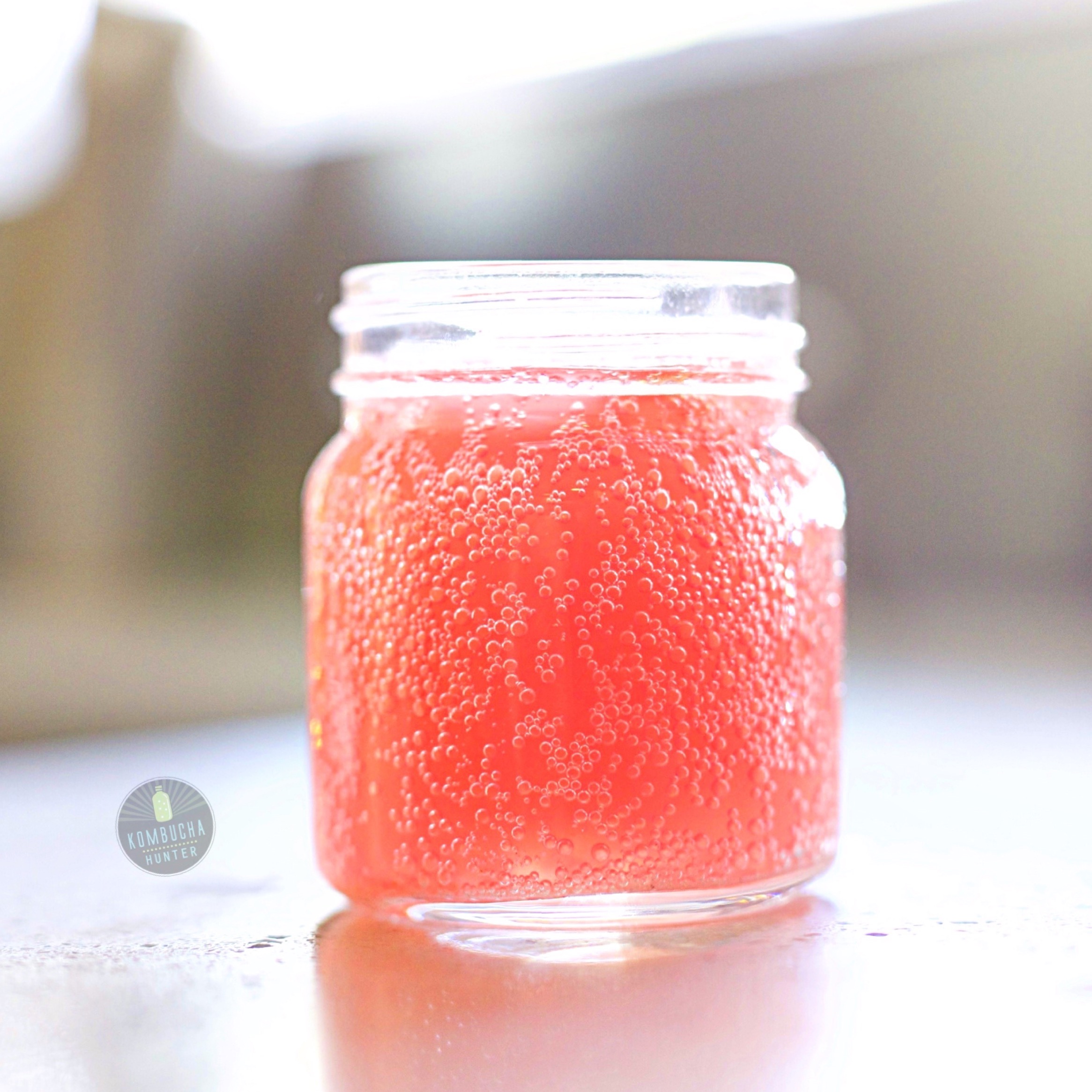 Introduction to Kombucha Home-Brewing! — 2 dates