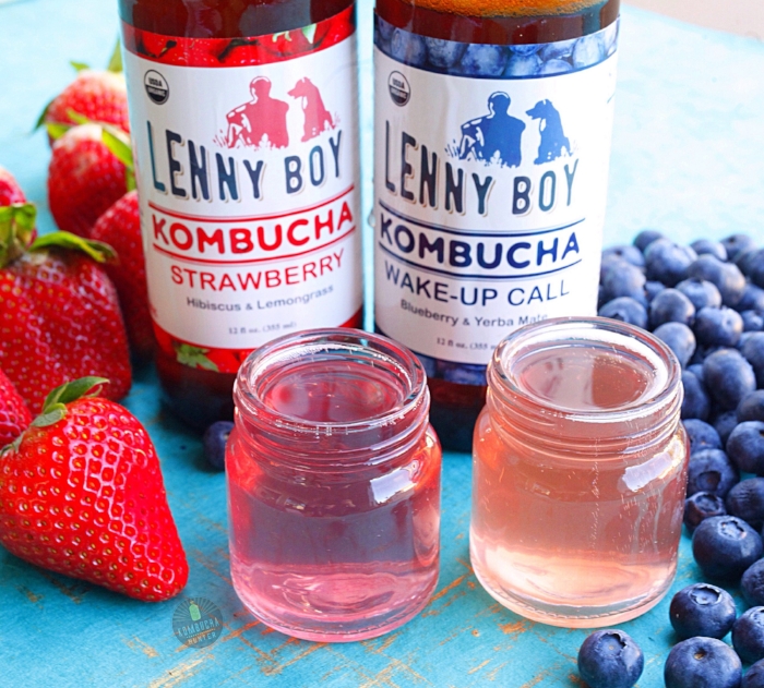 All photos property of Kombucha Hunter. Please request permission for use.