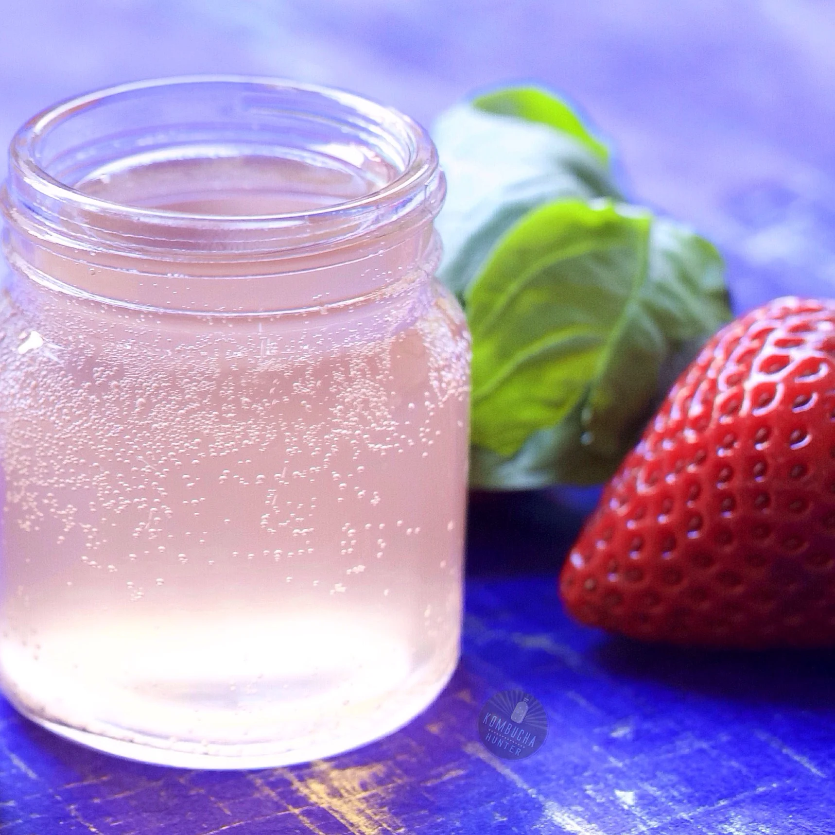 Kombucha Hunter — Flavor Gallery