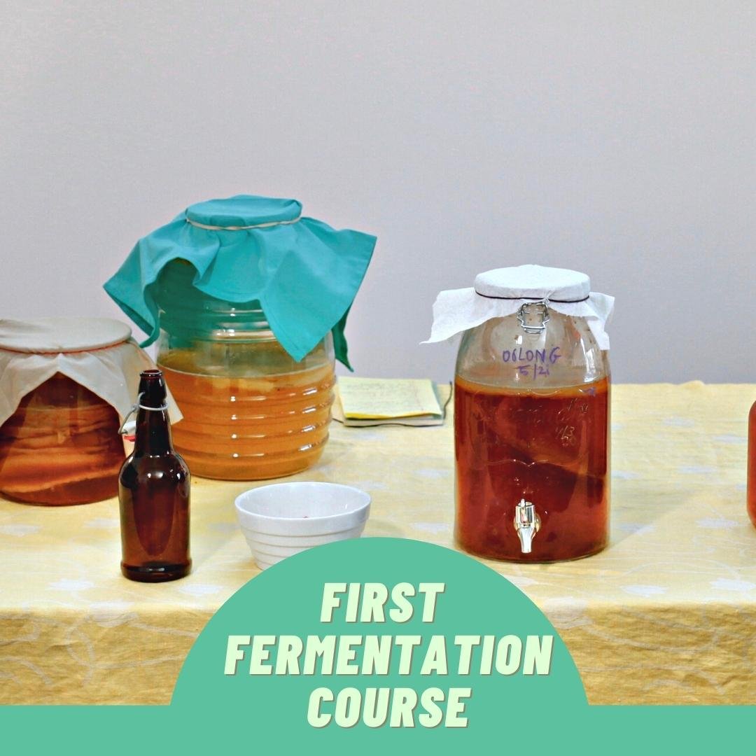 first ferment course.jpg