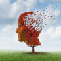From primate anatomy to human neuroimaging: Linking circuits to psychiatric disease and neurotherapeutic targets