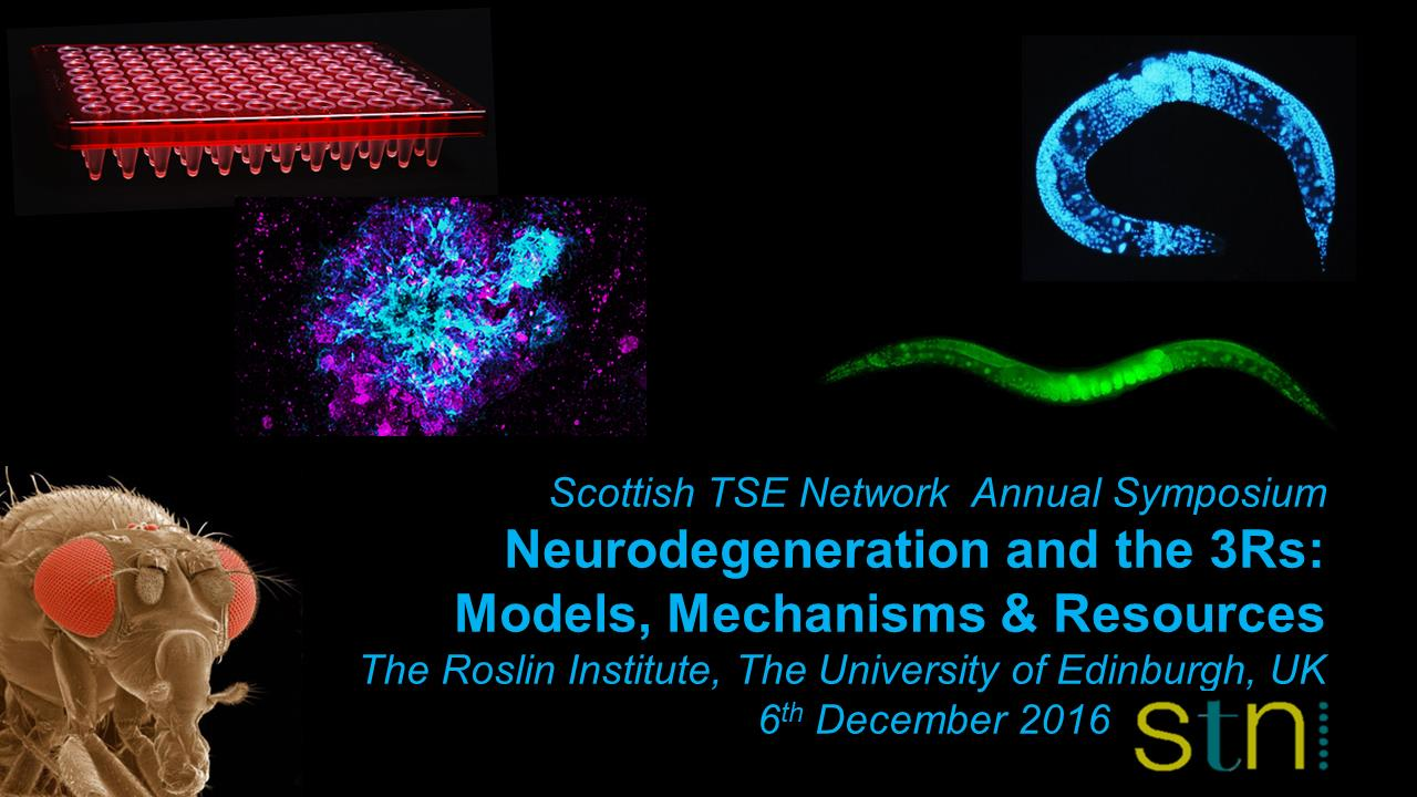 Neurodegeneration and the 3RS: Models, Mechanisms & Resources