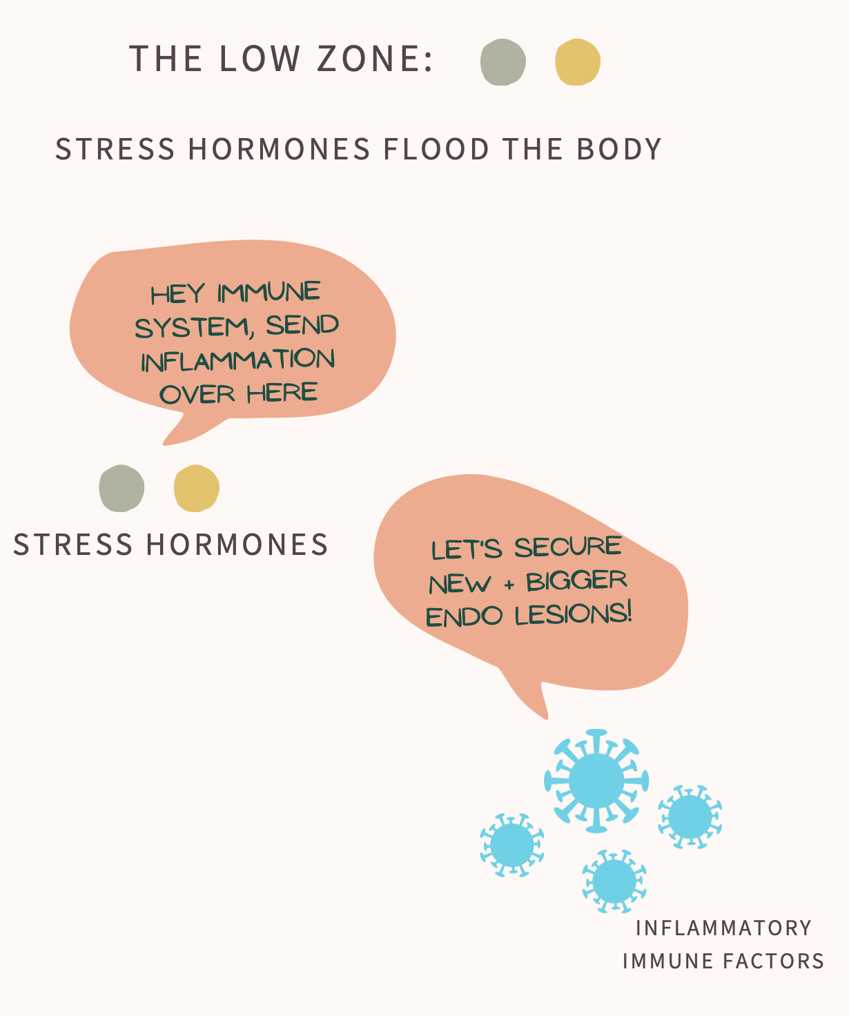Endometriosis Diet Blood Sugar creates Endometriosis Symptoms — Heal Endo