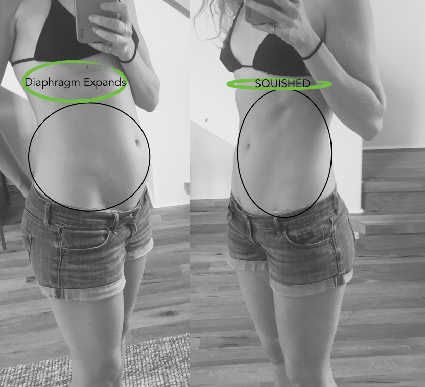 When your belly is relaxed, your diaphragm has room to descend. When it's tense and stiff, there can't be any movement, even you want it to.