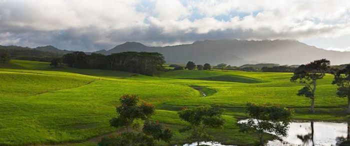 My hometown of kilauea where the cows I get milk from live. you may recognize this same view from jurassic park.
