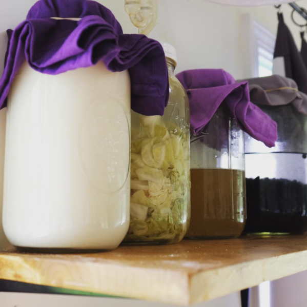 my personal shelf of fermentation: kefir, veggies, kombucha, and beans