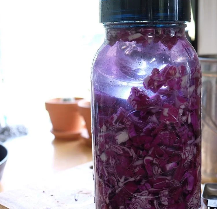 preserving like our ancestors: with salt and time
