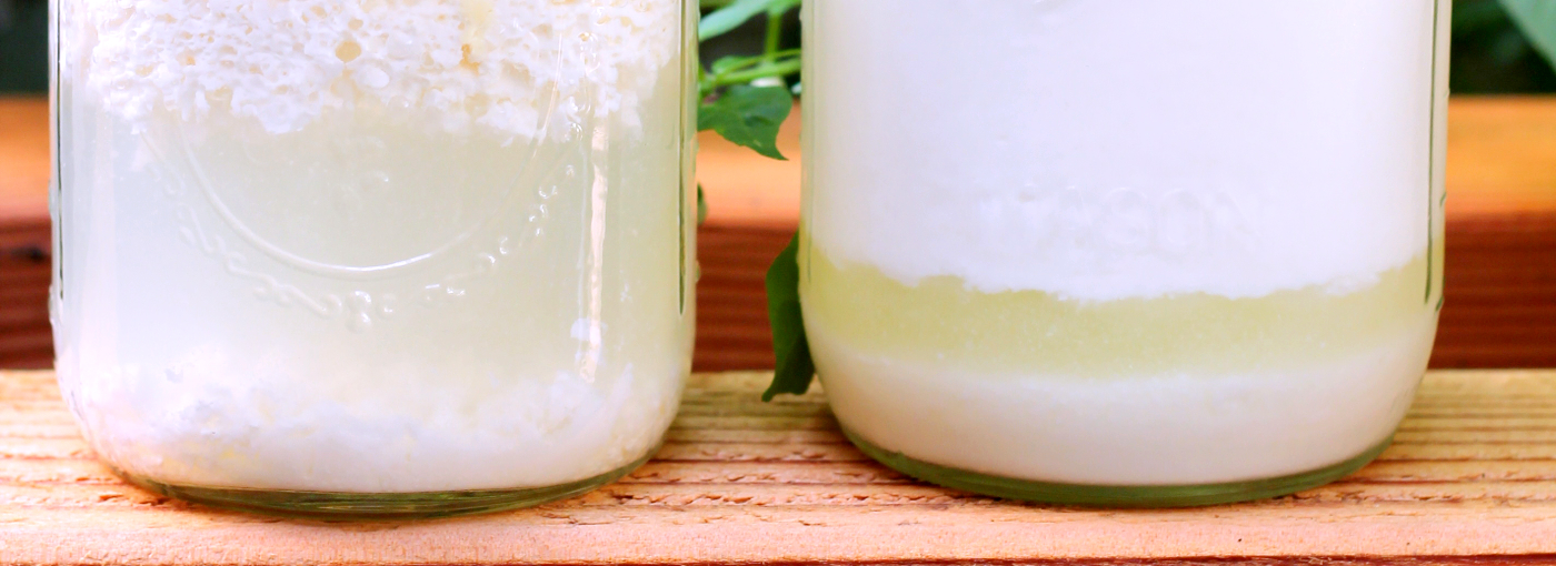 or collect whey from making your own kefir.
