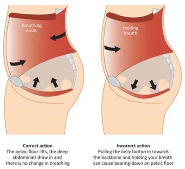 hypopressive training allows your pelvic floor to be in a relaxed state