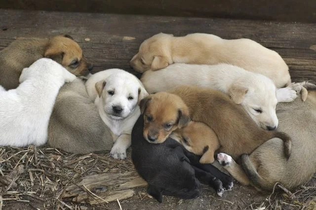 just because this is a cute picture.